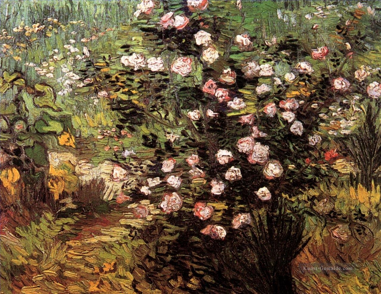 Rosenstrauch in der Blüte Vincent van Gogh impressionistische Blumen Ölgemälde